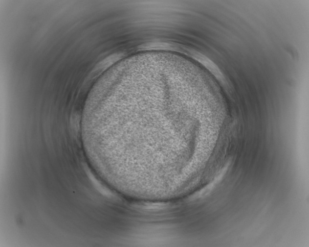 X0000113630849200910162014