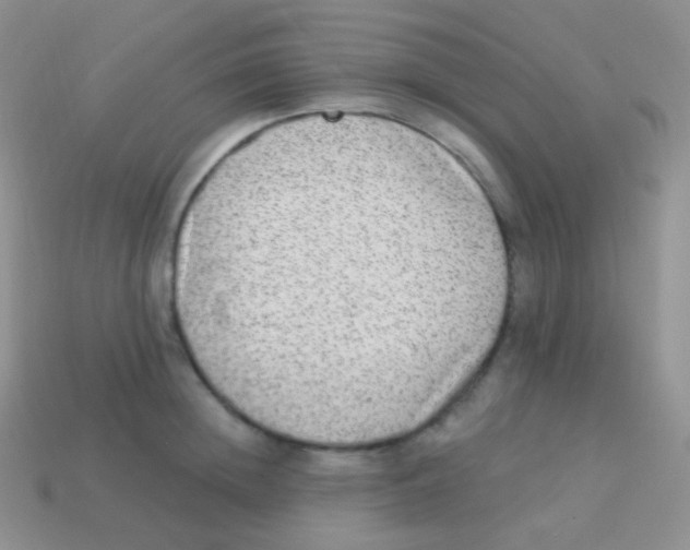 X0000113630852200910162014