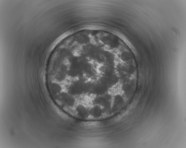 X0000113630853200910162014