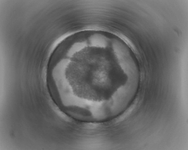 X0000113630854200910162014