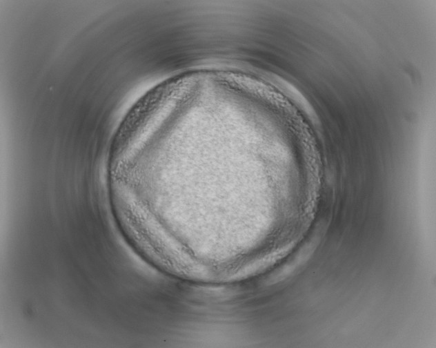 X0000113630855200910162014