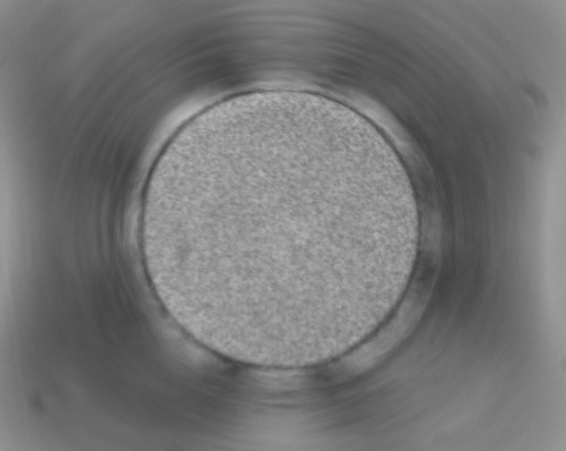 X0000113630856200910162014