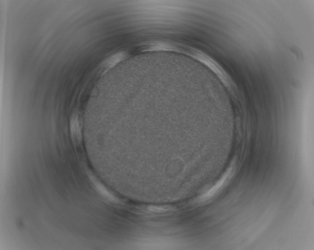 X0000113630857200910162014