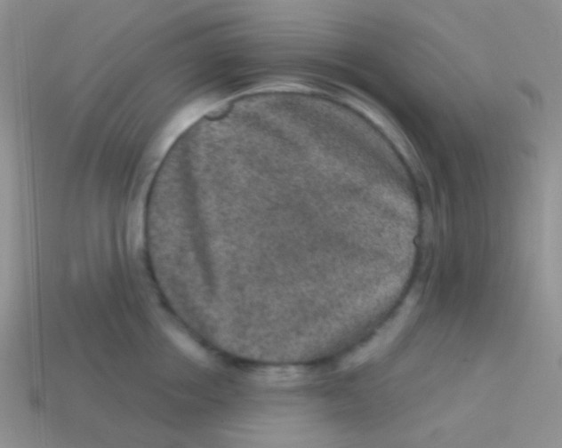 X0000113630858200910162014