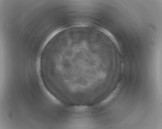 X0000113630859200910162014