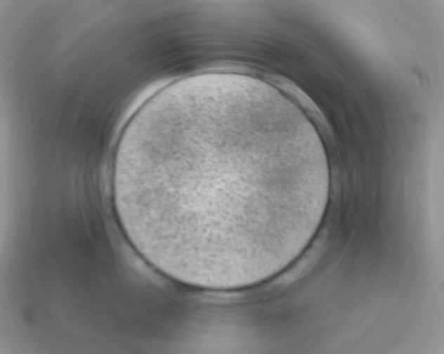 X0000113630860200910162014