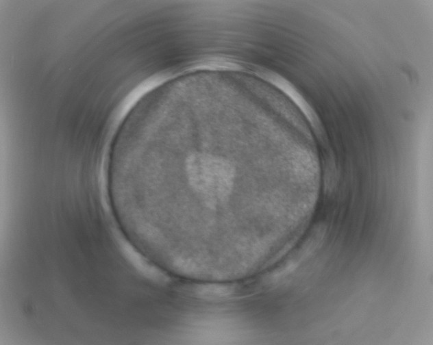 X0000113630861200910162014