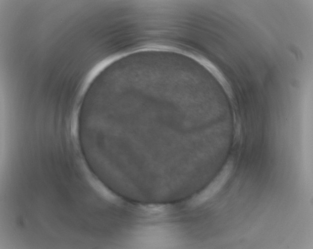 X0000113630862200910162014