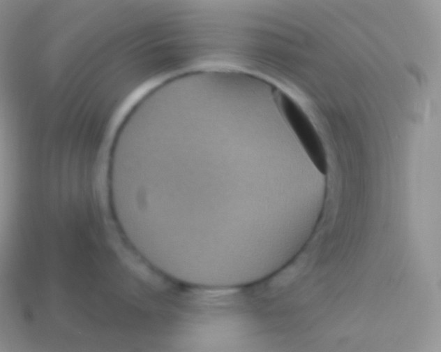 X0000113630864200910162014