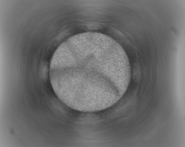 X0000113630866200910162013