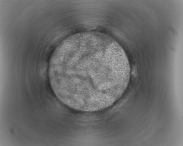 X0000113630867200910162013