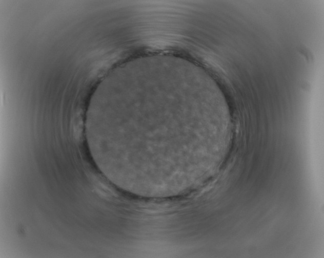 X0000113630868200910162013