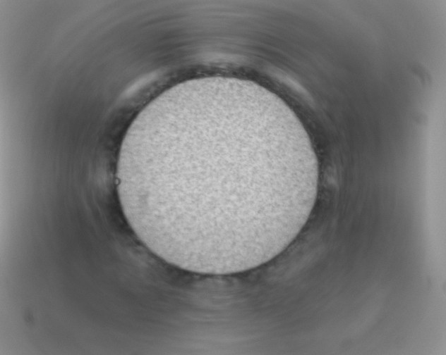 X0000113630869200910162013