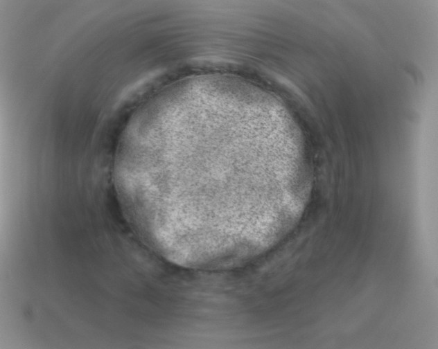 X0000113630870200910162013