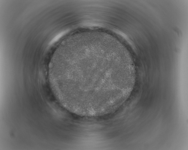 X0000113630871200910162013