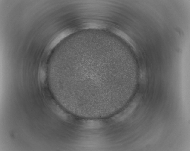 X0000113630874200910162013