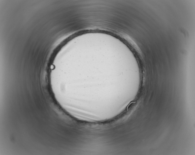 X0000113630876200910162013