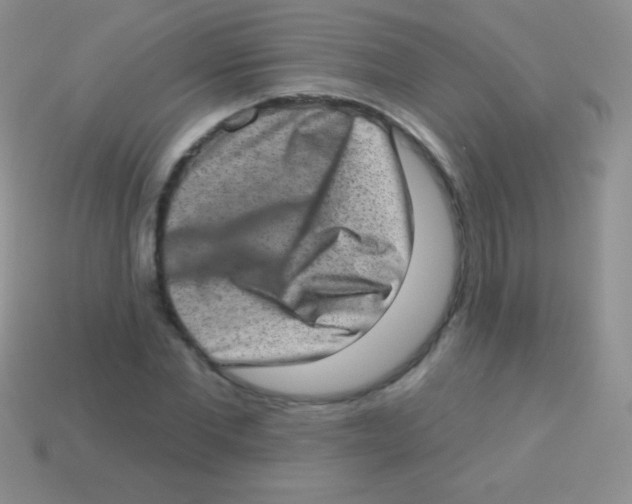 X0000113630877200910162013