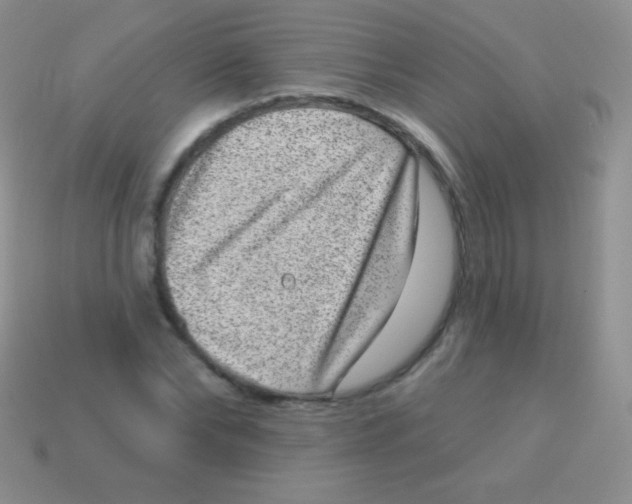 X0000113630878200910162013