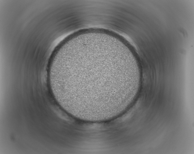 X0000113630879200910162013