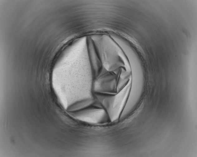 X0000113630881200910162013