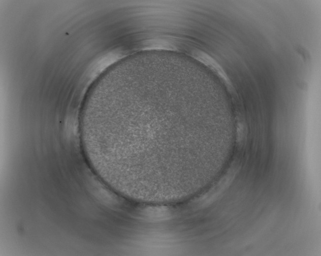 X0000113630882200910162013