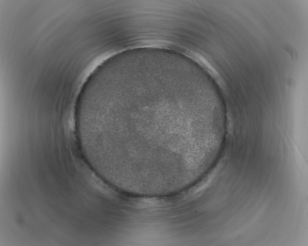 X0000113630883200910162013