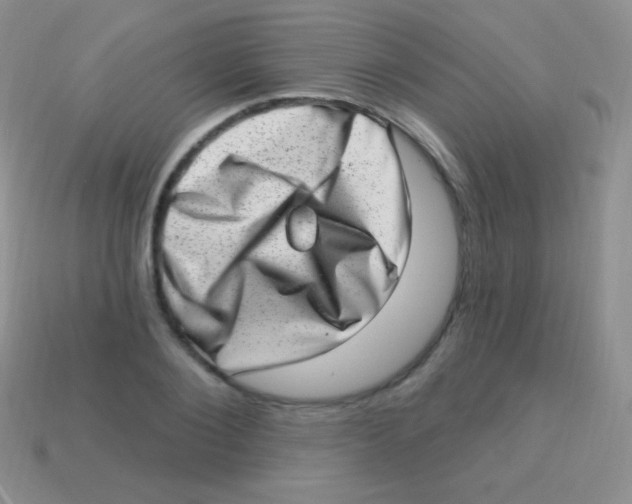 X0000113630884200910162013