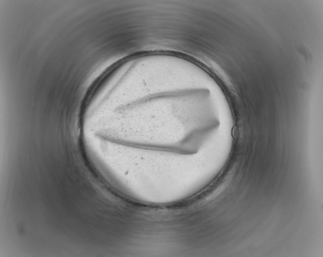 X0000113630885200910162013