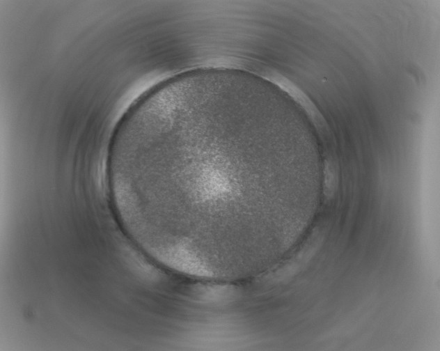 X0000113630886200910162013