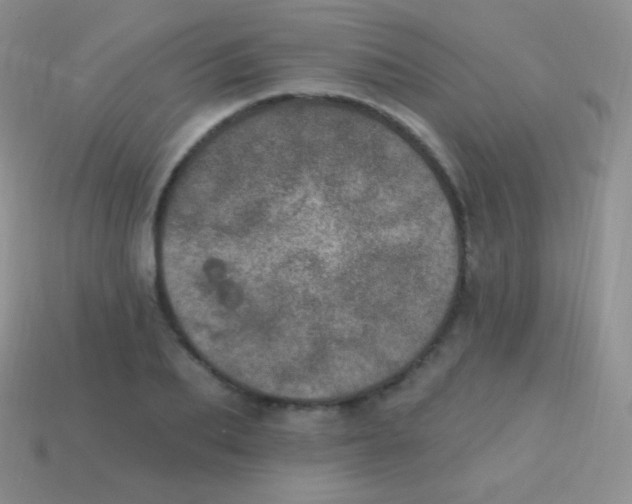 X0000113630887200910162013