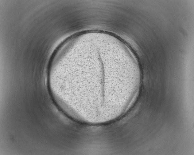 X0000113630888200910162013