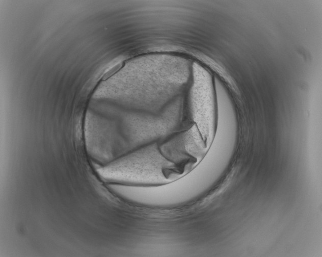 X0000113630889200910162013