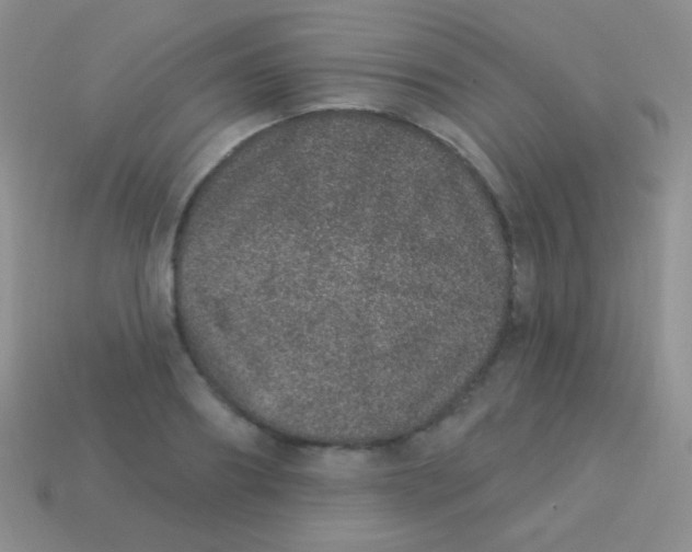 X0000113630890200910162013