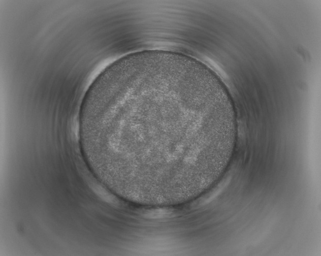 X0000113630891200910162013