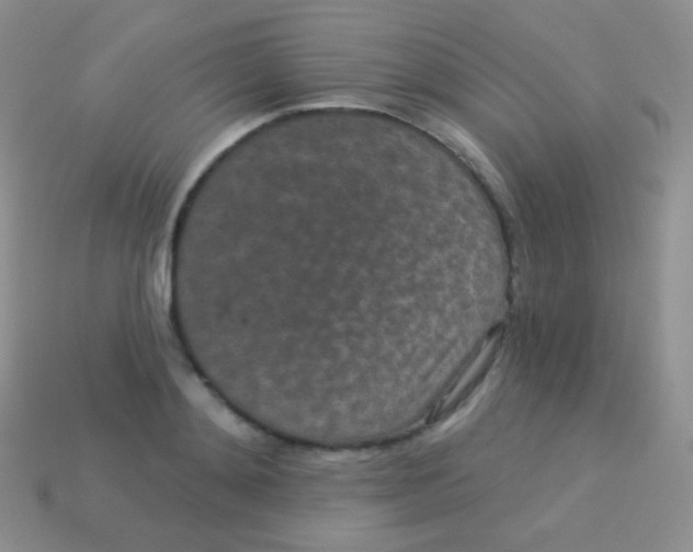 X0000113630892200910162013