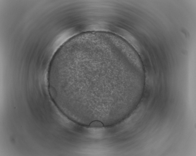 X0000113630893200910162013