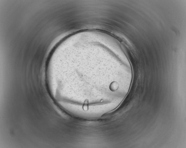 X0000113630894200910162013