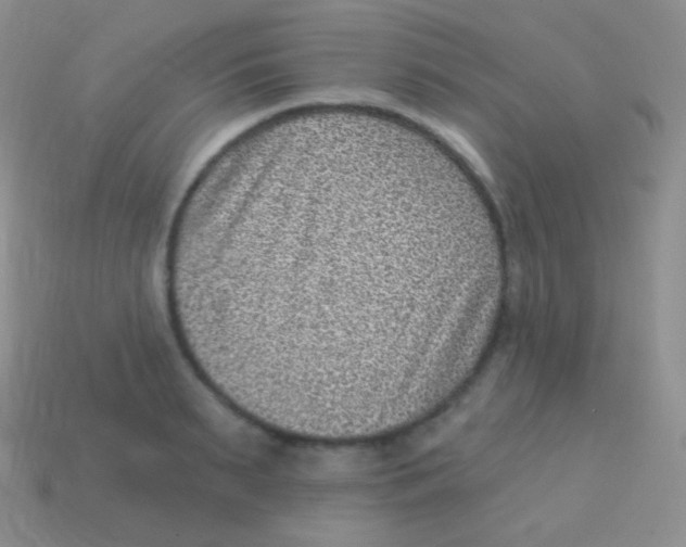 X0000113630895200910162013