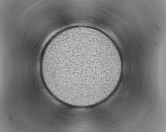 X0000113630896200910162013