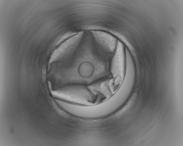 X0000113630897200910162013