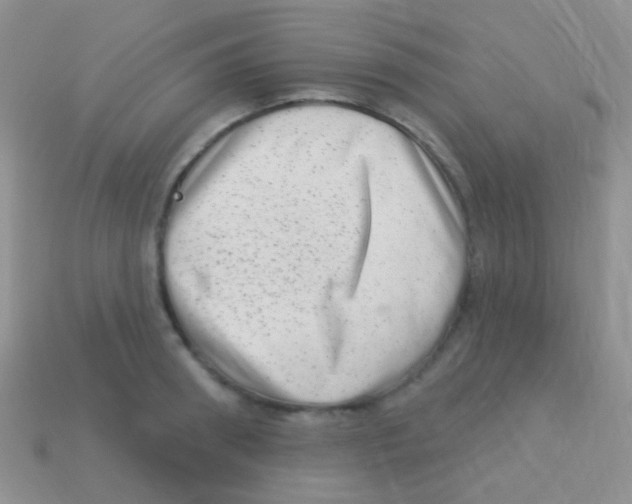 X0000113630898200910162013