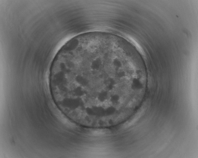 X0000113630899200910162013