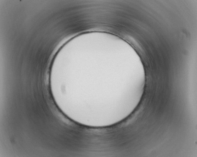 X0000113630900200910162013