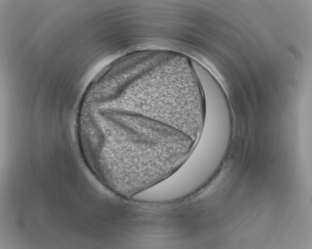 X0000113630901200910162013