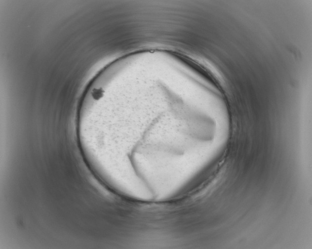 X0000113630902200910162013