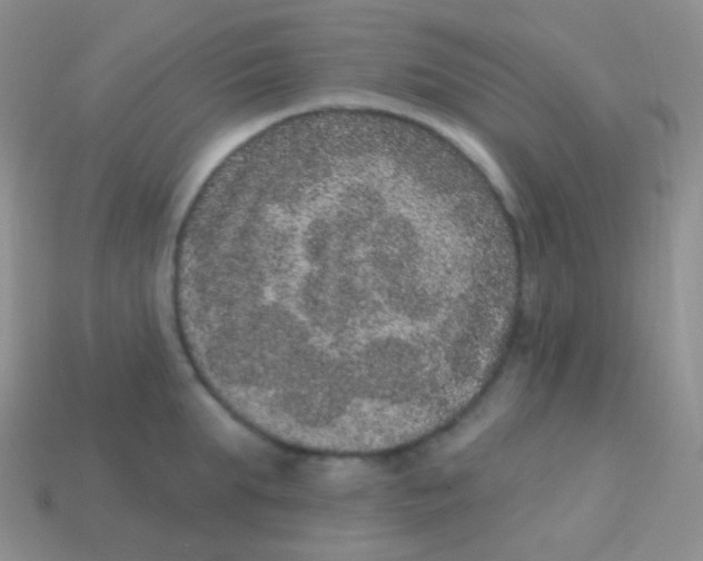 X0000113630903200910162013