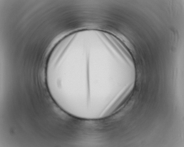 X0000113630904200910162013