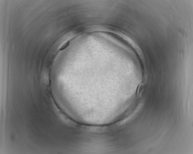 X0000113630905200910162013