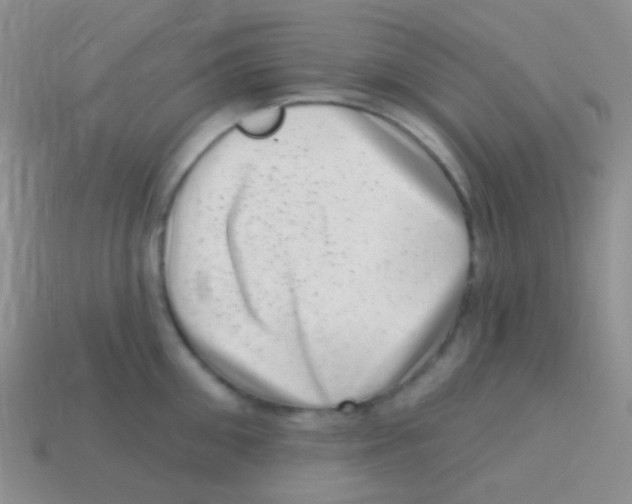 X0000113630906200910162013